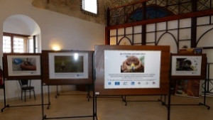 Да пазим Господарите на небето