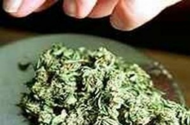 Полицаи откриха половин килограм канабис