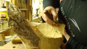 Увековечават птиците на Северозапада