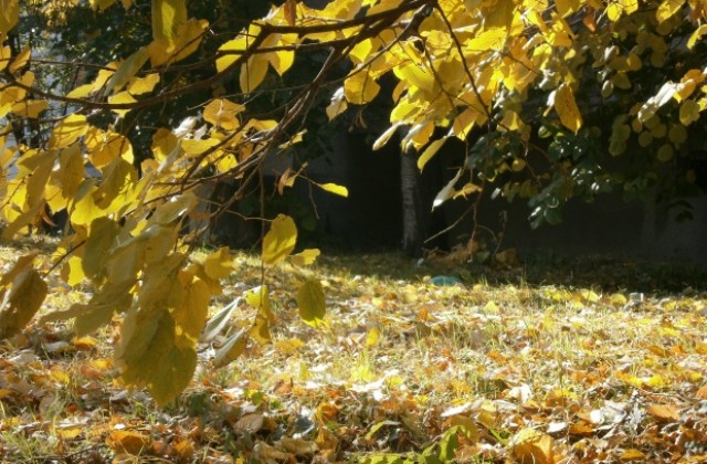 Още слънце през ноември