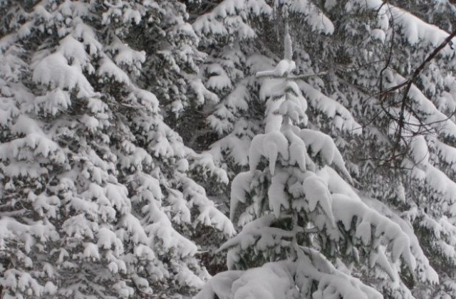 Температурите през декември – от -13 до 18 градуса