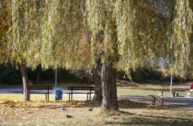 Слънчево и тихо