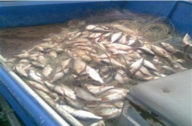 Спипаха румънец, превозващ нераглементирано 180 кг риба