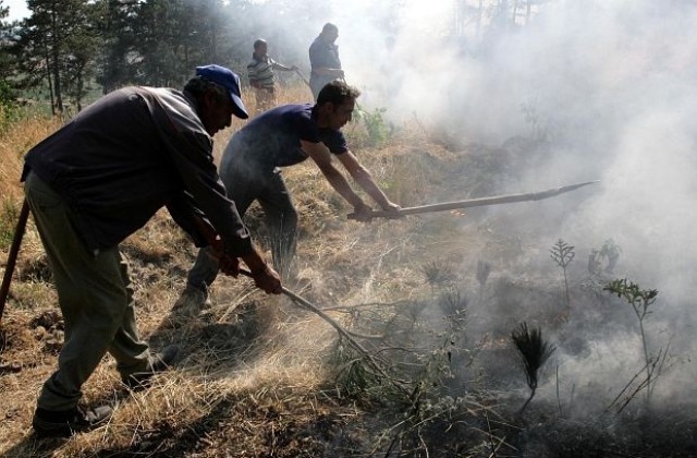 Потушиха пожарите край Асеновград