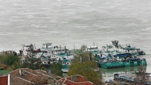 Нивото на Дунав край Лом остава ниско