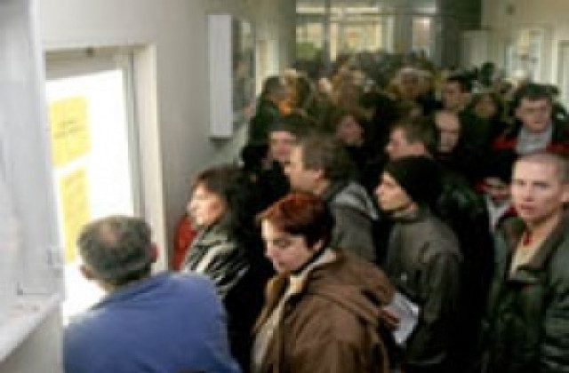 80 на сто от безработните в Силистренско са между 30 и 50 години