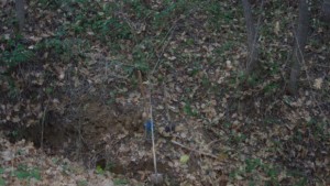 Студент и ученик от Севлиево са задържани за жестоко убийство