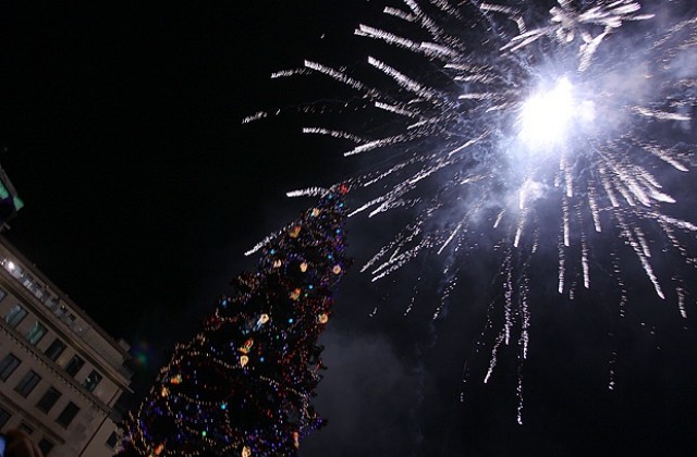 Коледната елха грейна в центъра на София