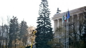 Започна украсяването на коледната елха