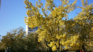 Предимно слънчево