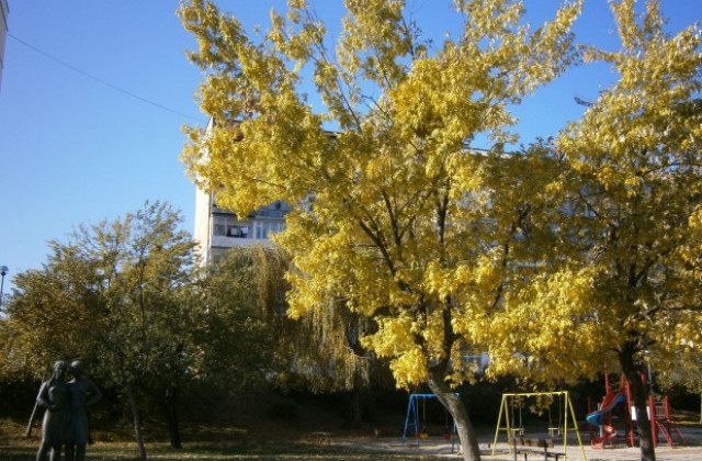 Предимно слънчево