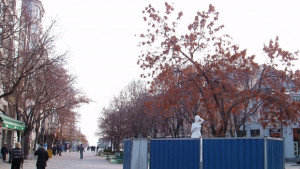 Бутат варненската Венера