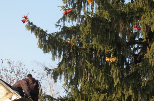 Коледна елха в с.Бърдарски геран