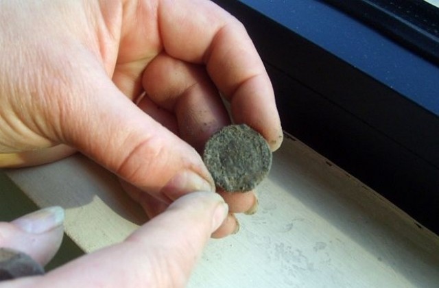 Откриха 150 монети в римско тържище на Августа Траяна