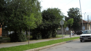 Чистотата на пътищата ангажимент на общините и пътните управления