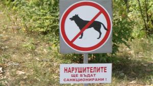 Разчистват парк Лаута