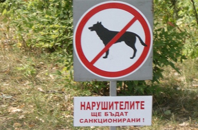 Разчистват парк Лаута