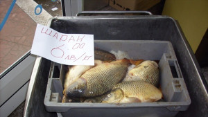 Никулденско оживление на добричкия пазар