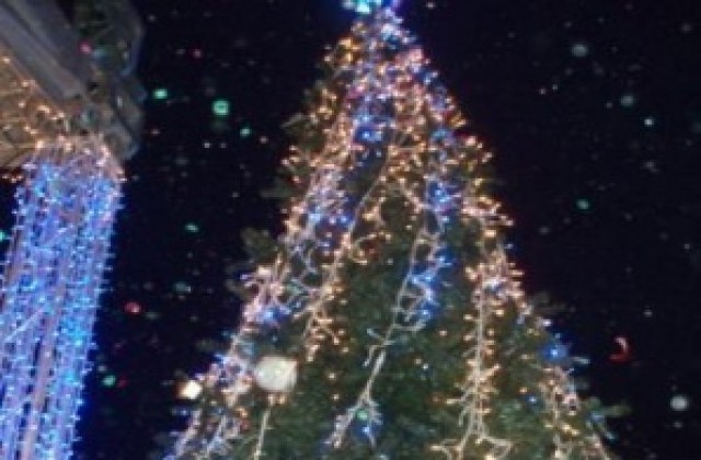 Малък Сан Ремо за силистренци през декември