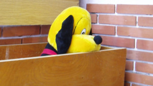 Младоженци пожелаха детски играчки вместо сватбени цветя