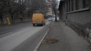 Изпочупиха новозасадени дървета в Шумен
