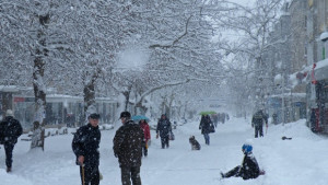 Да направим Враца покрасива за Коледа