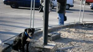 Забраняват разкопаването на улици в Габрово