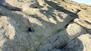 Самоубийството на маите