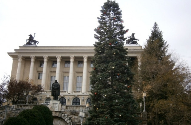 Коледната елха грейва на 13-ти декември