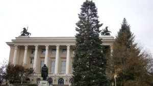 Найголямата жива коледна елха грейва днес в Габрово