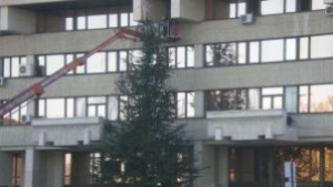 Хайде около елхата