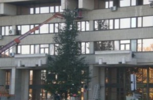 Хайде, около елхата