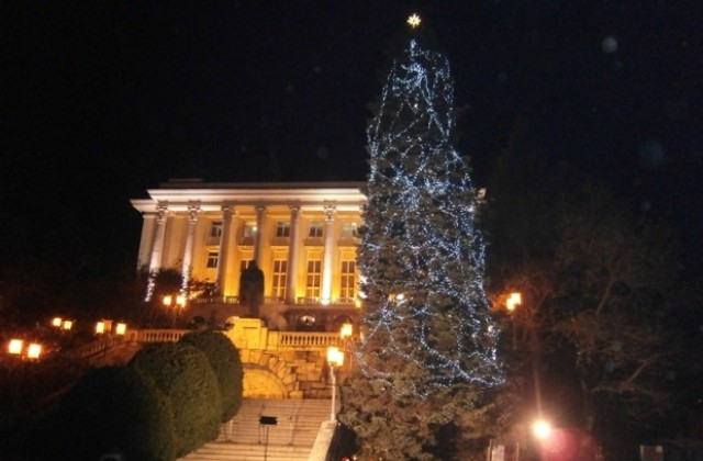 Коледната елха засия в пълния си блясък