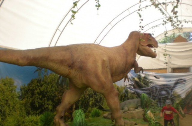 Нашествие на огромни динозаври в музея