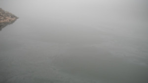 Мазни петна по Дунав вдигнаха на крак граничари и еколози