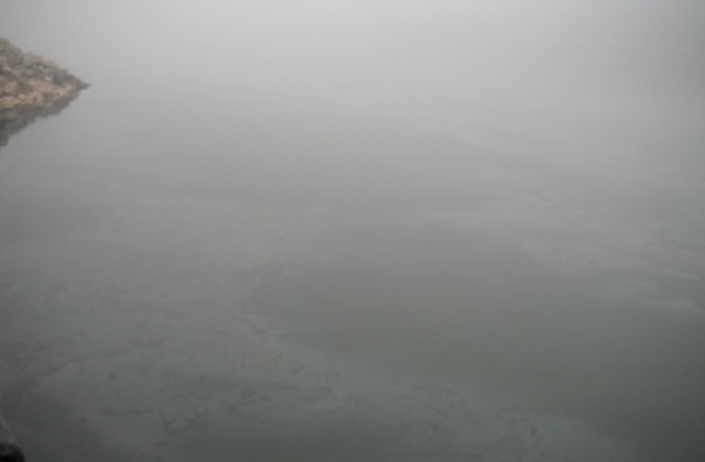 Мазни петна по Дунав вдигнаха на крак граничари и еколози