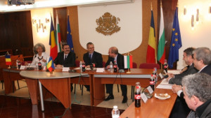 България ще почиства снега от Дунав мост тази зима