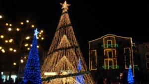 Коледен фотоконкурс организират млади гербери