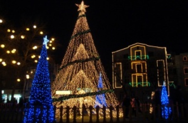 Коледен фотоконкурс организират млади гербери