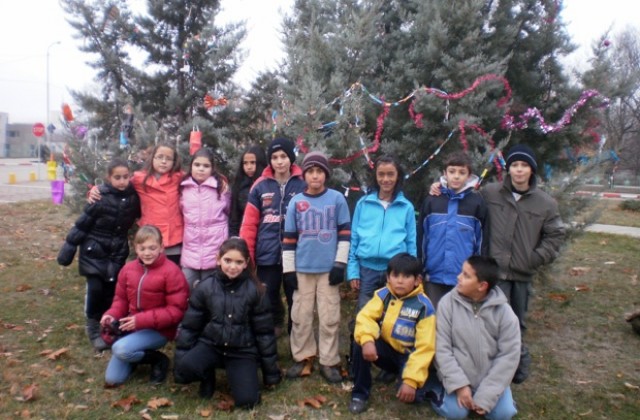 Грейна Коледната елха в Криводол