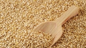 В Сливен всички търговци на зърно имат дистанционна връзка с
