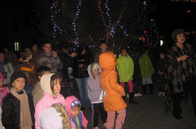 Коледна елха в Белоградчик