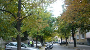 Шофьори с жилища в Зелена зона плащат годишно за паркинг