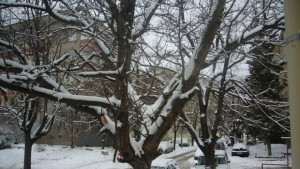 Идва сняг общината е готова за зимата
