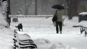 Астрономическата зима дойде с обилни валежи от сняг