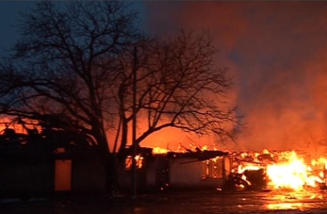 Пожар изпепели краварниците в Енина, в пламъците  изгоряха 30 крави