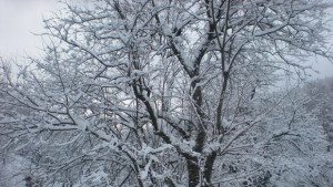 Слънцето се показва