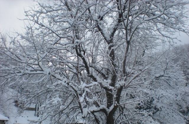 Слънцето се показва