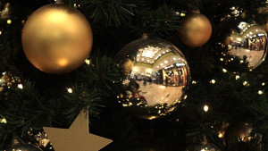 Търси се чудо