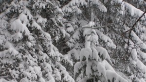 Мъгла и облаци